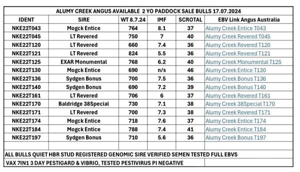 Available Paddock Sale 2yo Bulls as at 31 July 2024